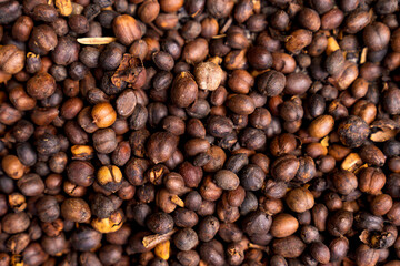  Brown roasted cocoa beans. Background, the process of making cocoa