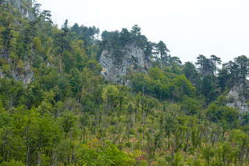 Summer vacation in the national park
