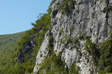 Summer vacation in the national park
