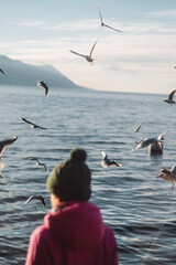 seagulls on the beach