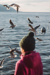 seagulls on the pier