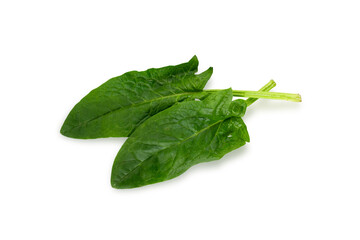 Spinach leaf isolated on white background. Fresh green spinach Top view. Flat lay.