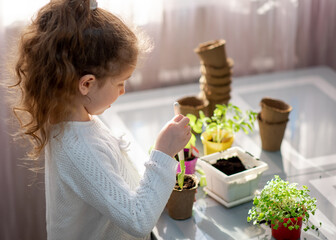 A cute girl plants at home in eco pots. She is wearing a white sweater. The garden of the house....