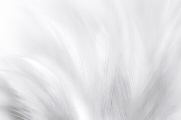 White macro feather texture,bohemian bohemian vintage style trend color feather texture background