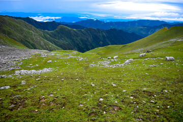 alpine meadow in the mountains