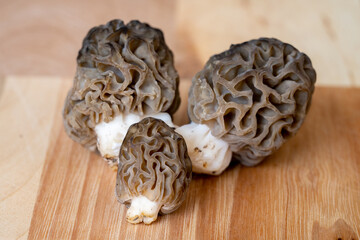 Fototapeta premium Three Black Morels on Wood