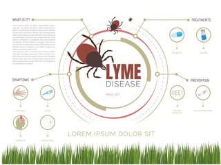 Lyme disease infographic .World Lyme disease day which is contracted by the bite of an infected tick.