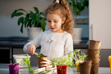 A cute girl plants at home in eco pots. She is wearing a white sweater. The garden of the house....