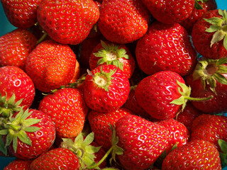 lots of delicious red strawberries