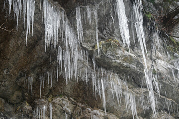 Photo of icicles in winter