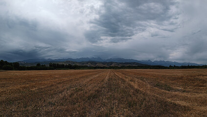 Fototapeta premium panoramic view of the beautiful mountains