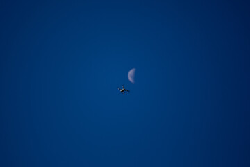 Dron en el cielo con la luna de fondo. Concepto de naturaleza y tecnología.