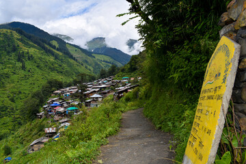 mountain road in the mountains