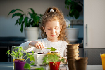 A cute girl plants at home in eco pots. She is wearing a white sweater. The garden of the house. Hobby.