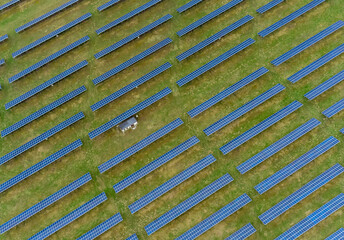 a park with photovoltaic panels seen from above