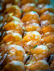 Close up of Shrimp arranged in rows