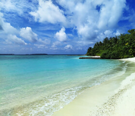 Maldives, the deserted beach with white sand and trees near the turquoise ocean.