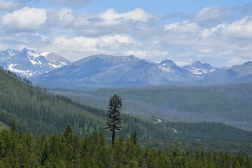 Cell tower in mountains