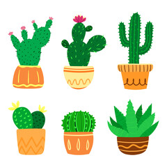 Vector set of various cactus plants in flower pots