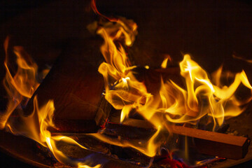 Closeup photo of wood stakes burning for warmth