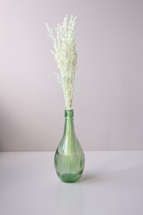 White dried flowers in glass vase on gray background