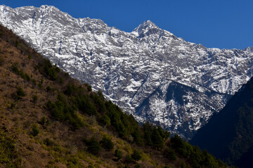 snow peaks 