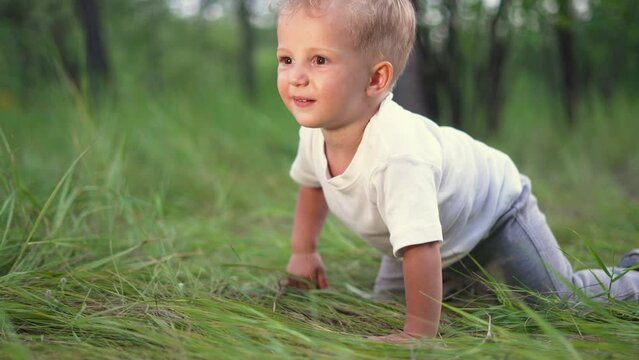 The child crawls on the green grass in the field. Cheerful blond kid in a forest park at sunset. Happy childhood dream concept. Boy walk in the park. Baby crawling on the grass in the park at sunset