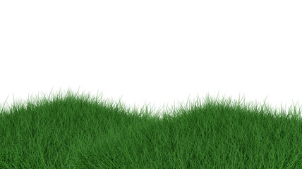 Fototapeta premium Grass isolated on white background. 3d rendering illustration.