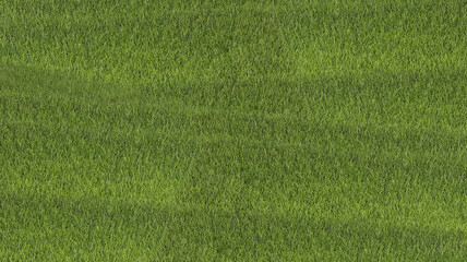 Green grass background of football field.