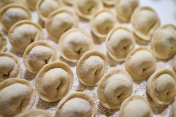 national Russian dish. dumplings close-up stacked in even rows. raw dumplings