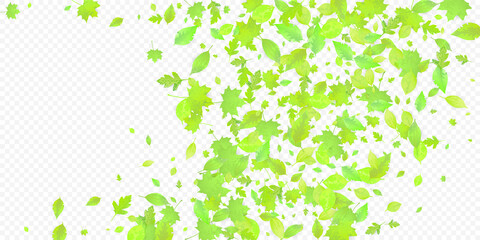 Leaves Falling Spring Flying Foliage Green Leaf