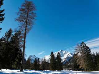 Österreichische Berglandschaft. Winterzauber und Langlaufen am Pertisau am Achensee in Tirol zwischen Tristenautal, Falzthurntal, den majestätischen Gebirgszügen von Dristenkopf, Rofan und Karwendel