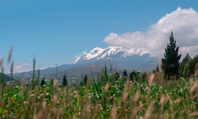 View of the Cayambe volcano from the town of Olmedo in the province of Cayambe during a sunny morning