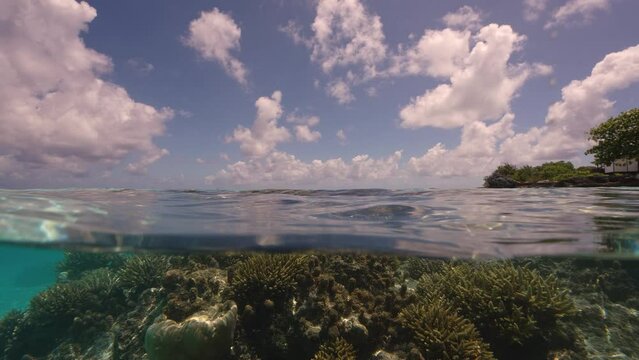 Split shot, half above, half below water of a tropical coral reef in Fakarva, second biggest atoll in French Polynesia in the south pacific ocean in Slow motion
