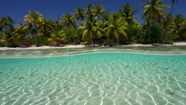 Split shot, camera emerges, half above, half below water of a tropical beach in Fakarva, second biggest atoll in French Polynesia in the south pacific ocean in Slow motion