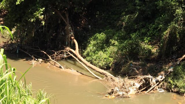 Affected riverbank with non-biodegradable garbage and affected greenery due to inundation and flooding. Human waste and pollution dumping site concept.