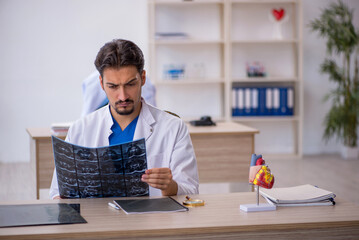 Young male doctor radiologist working in the clinic