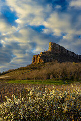 Rock of Solutre with vineyards, Burgundy, Solutre-Pouilly, France