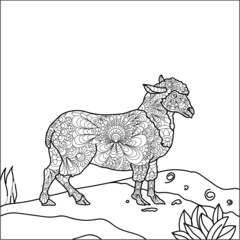 Animal coloring pages for adults