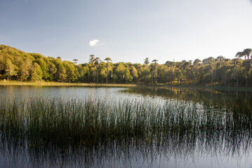 Laguna Carilafquen