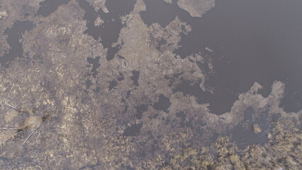 Floating dry grass and other debris on the surface of the muddy water of the river