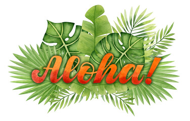 Watercolor image of the word aloha on a background of tropical leaves. © Natalya