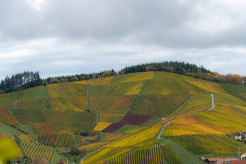 Aerial view of agricultural fields on a slope of a hill