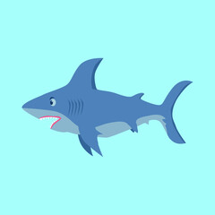 Great blue shark. Shark swims in the sea