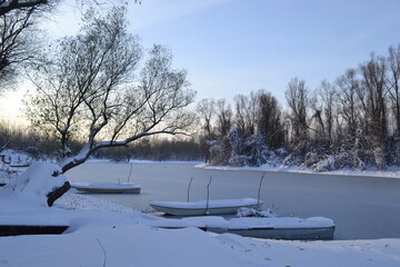 Panorama of a frozen lake and snow-covered trees, in Novi Sad, Serbia.