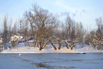 Panorama of a frozen lake and snow-covered trees, in Novi Sad, Serbia.