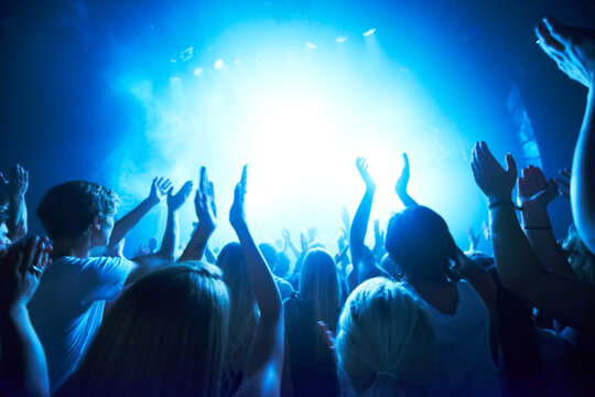 Adoring fans. Rear view of a crowd dancing at a music concert- This concert was created for the sole purpose of this photo shoot, featuring 300 models and 3 live bands. All people in this shoot are