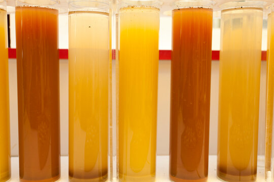 eprouvette et test en laboratoire