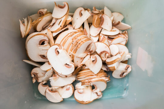 plat de champignons, cepes pour la gastronomie