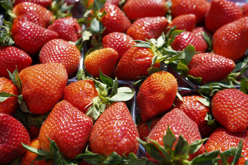 Fresh strawberries in the local market